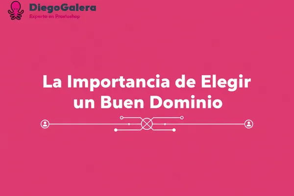 La Importancia de Elegir un Buen Dominio