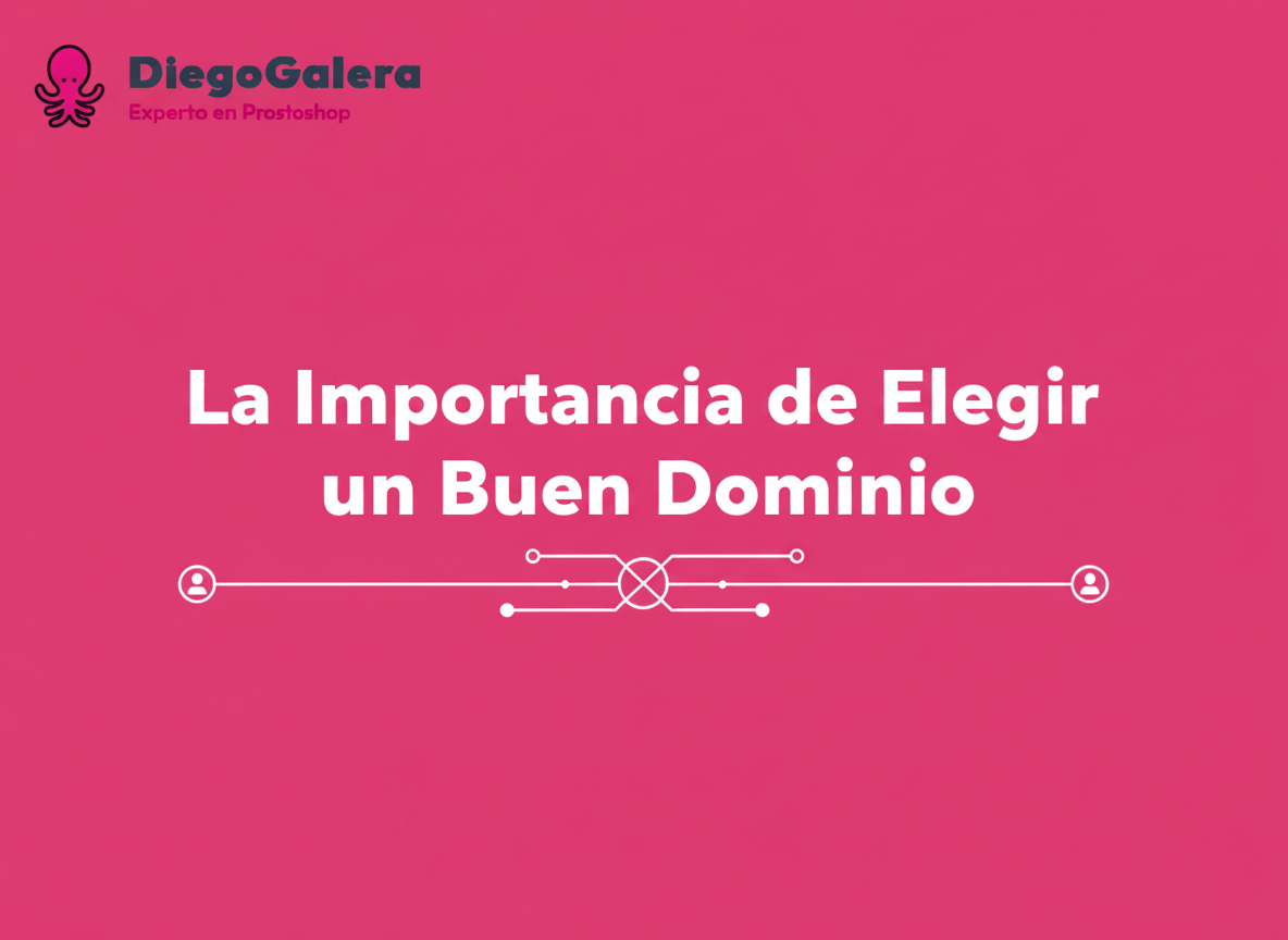 La Importancia de Elegir un Buen Dominio